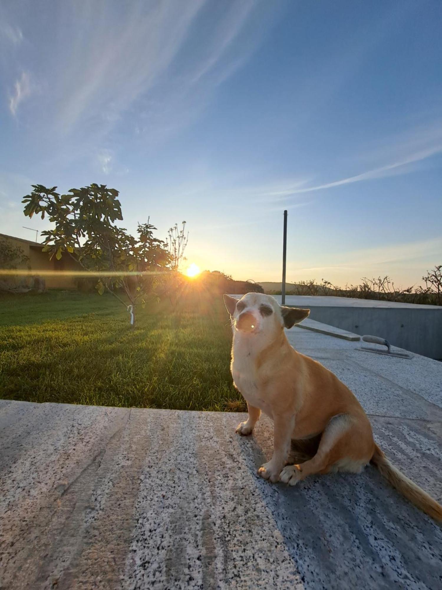 Agriturismo Lu Nodu Greuli Luaran gambar