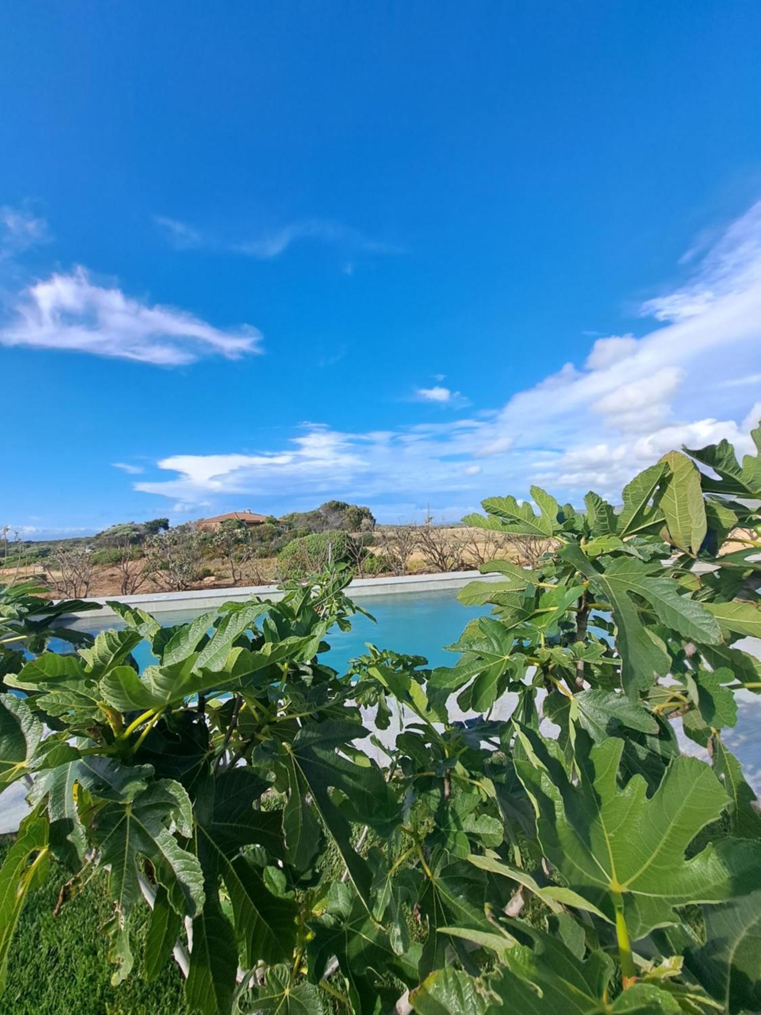 Agriturismo Lu Nodu Greuli Luaran gambar