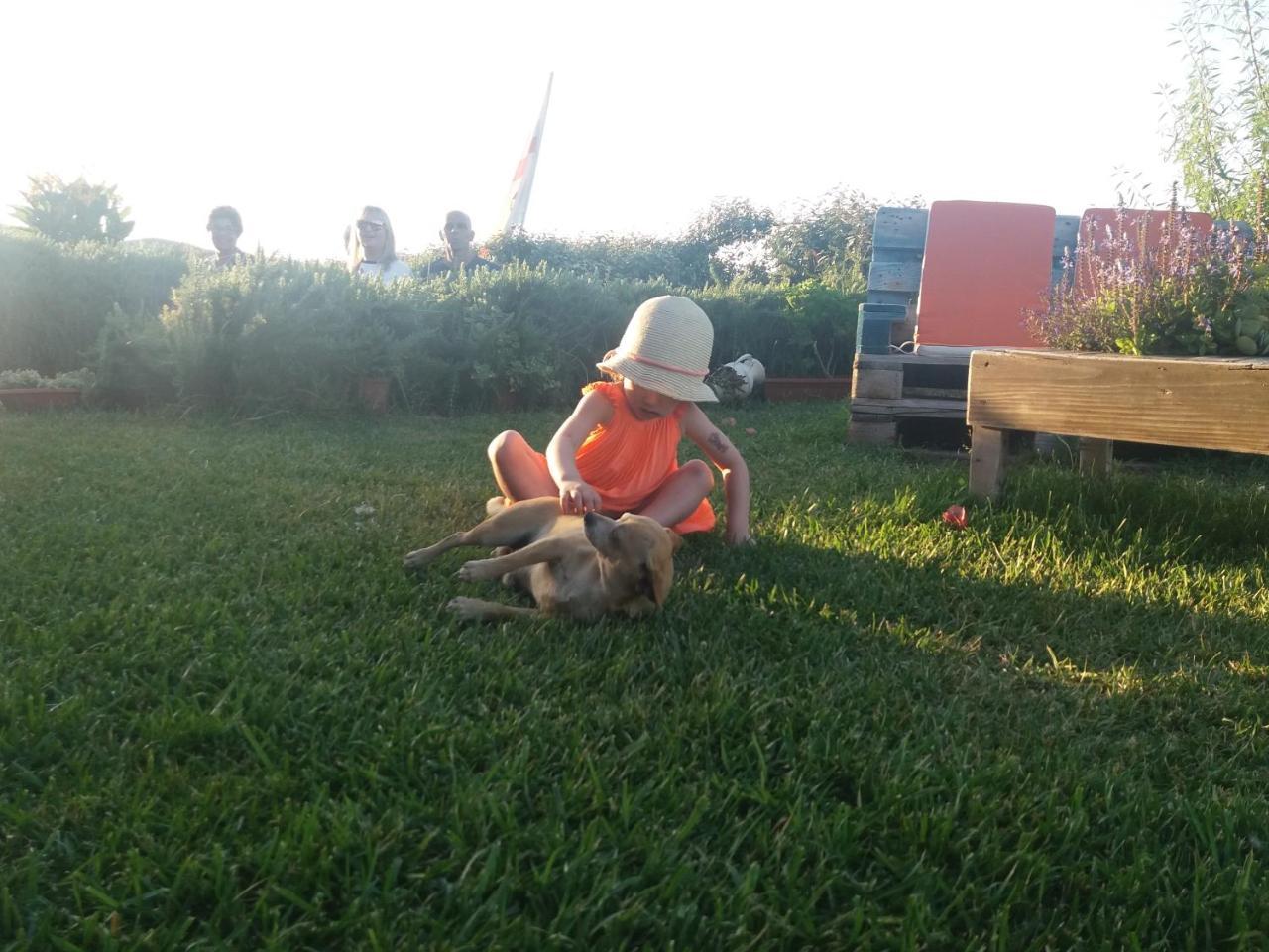 Agriturismo Lu Nodu Greuli Luaran gambar